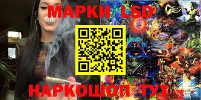 a pvp Моздок