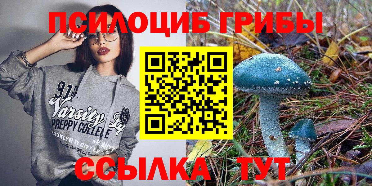 Галлюциногенные грибы GOLDEN TEACHER  Галлюциногенные грибы MAGIC MUSHROOMS  где купить   Вход с VPN  Энгельс 